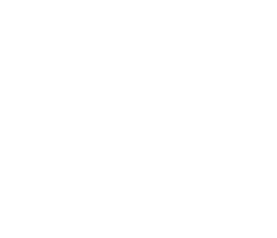 Digby & Camille – the movie